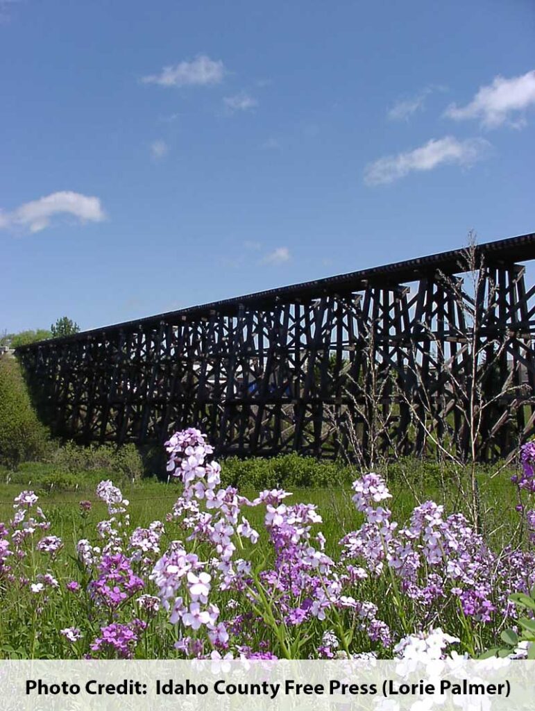 Cottonwood Idaho Train Trestle